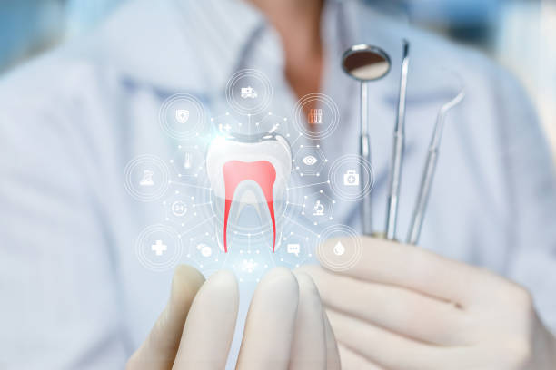 Our Range of Dental Services in Petaluma, CA